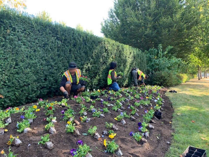 Commercial Landscaping and Garden Care